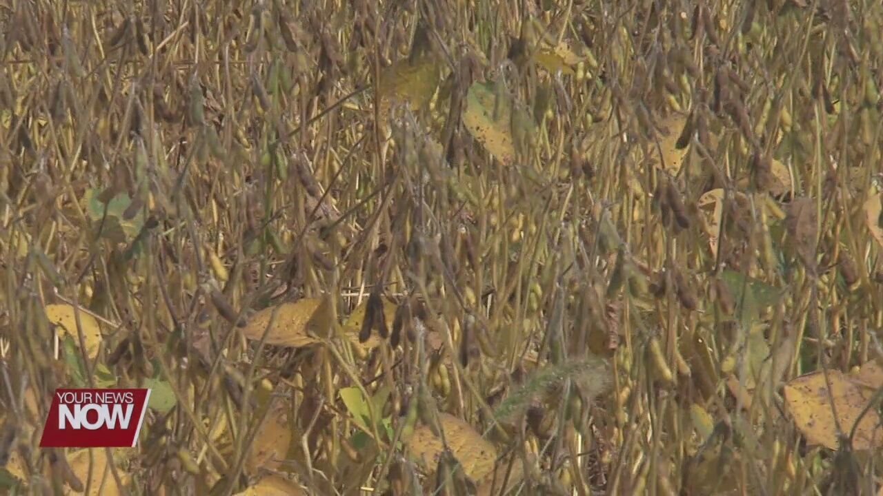 Farmers might see affect of dry summer this harvest